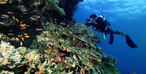 Reefscape at Kapoposang.