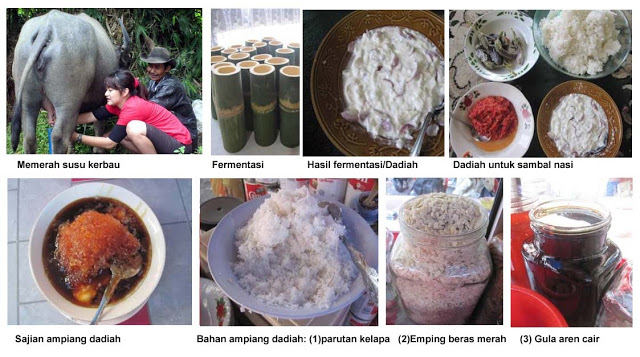ampiang dadiah copy