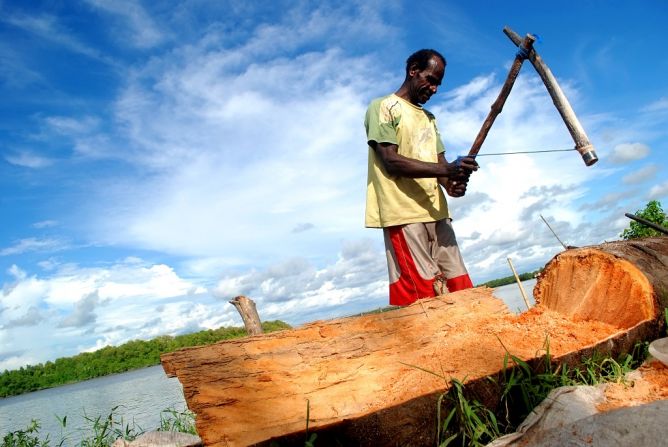 Warga lokal yang mengolah pohon Rumbia masih secara tradisional. (Foto: Fahrul Jayadiputra / ANTARA)