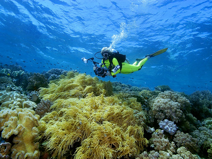 Terumbu Karang yang indah di Wakatobi (Foto: Leon Joubert / wakatobi.com)