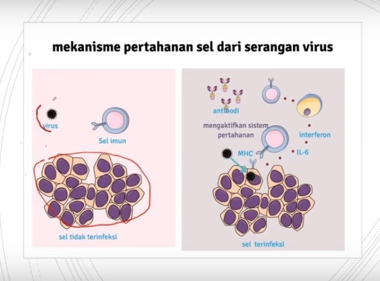 Pemaparan oleh Prof. Widodo.Foto: Universitas Brawijaya