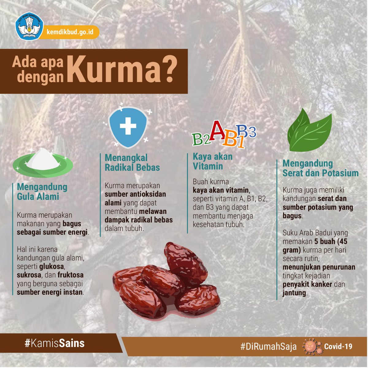 Merdeka Belajar | Foto: @Kemendikbud_RI on Twitter