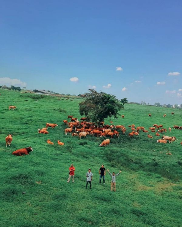 Padang Mengatas,Tempat Wisata di Sumatera Barat | Foto: @oyamagz.com