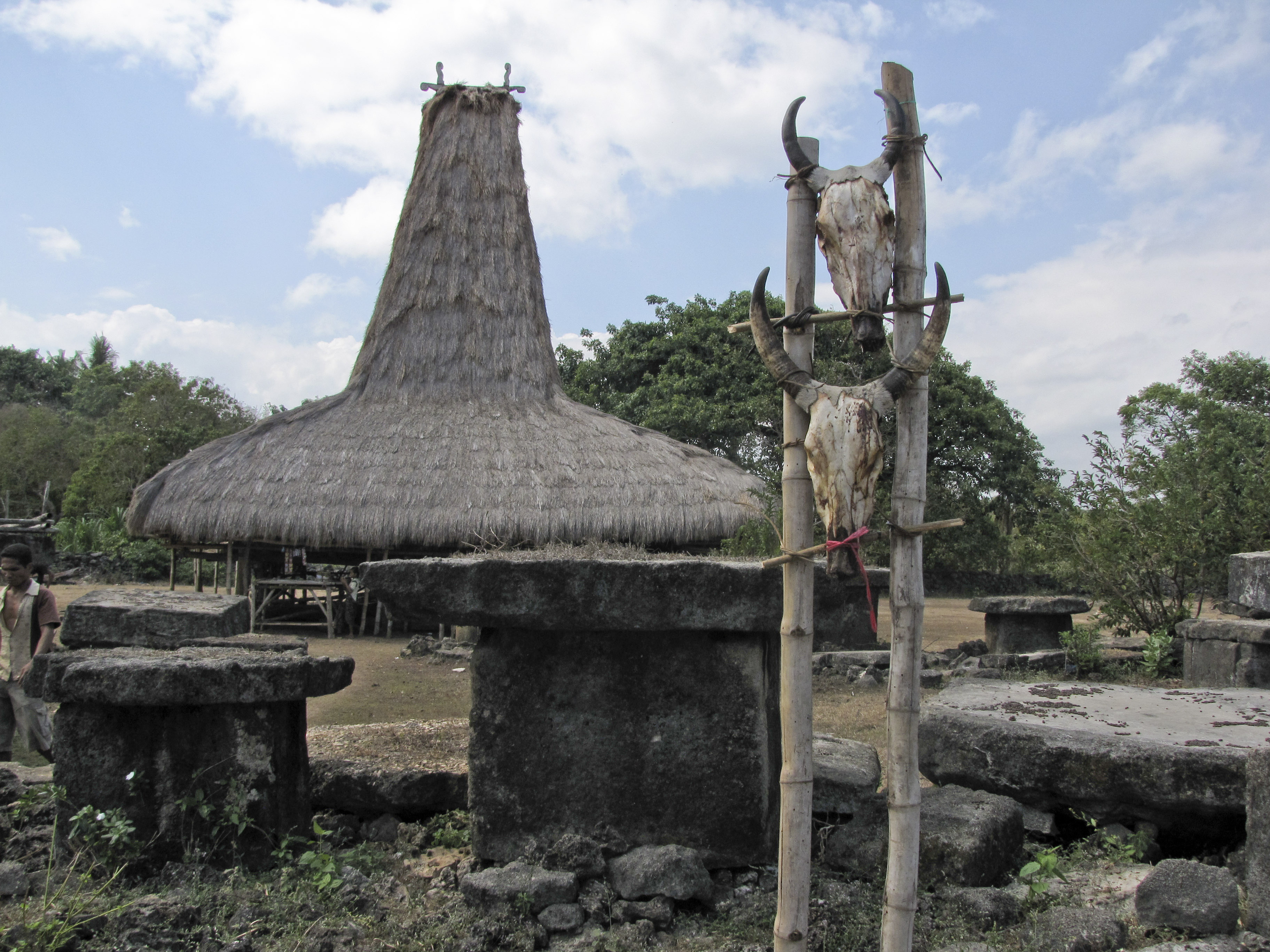 Rumah adat Sumba | Google Image/Wikipedia