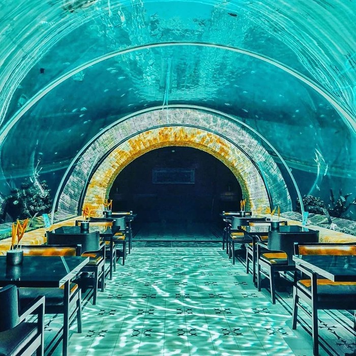 Keren! Ada Restoran dengan Pemandangan Bawah Laut Di Bali | Foto: food.detik.com
