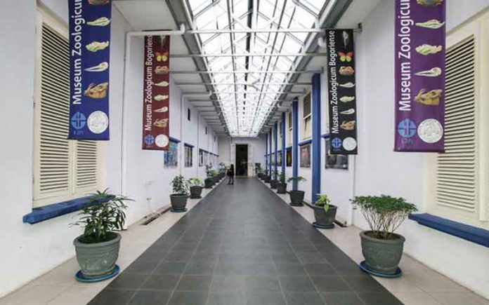 Museum Zoologi Bogor | newswantara.com