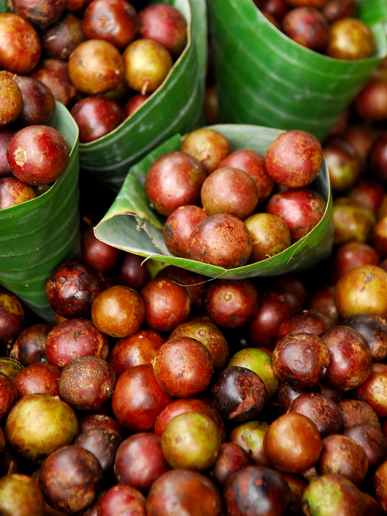 Potret Buah Rukam | Foto: petaniternak.wordpress.com