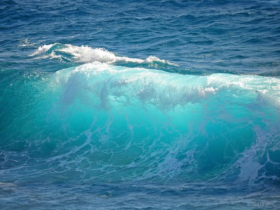 Ombak kecil yang menyertai perahu kami. Biru ! | Foto Akhyari Hananto