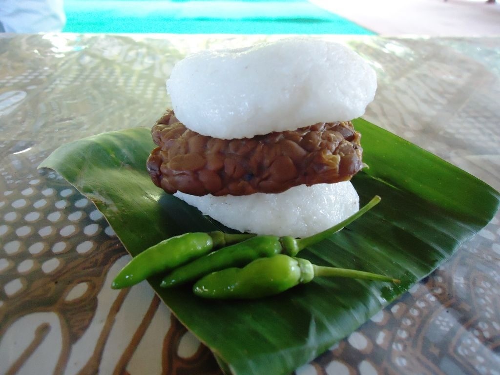 jadah tempe