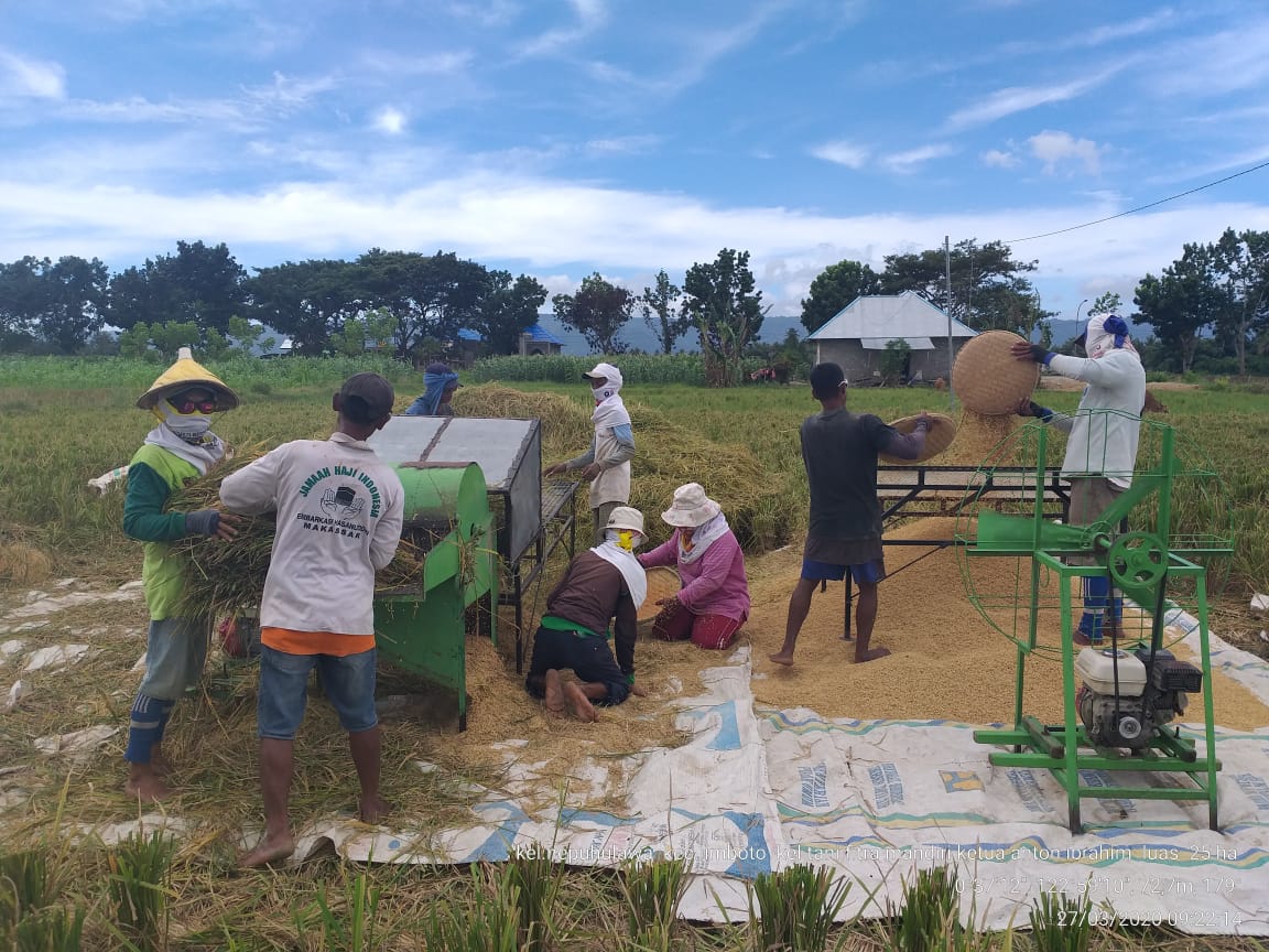 Ilustrasi Petani. Foto: Kementan