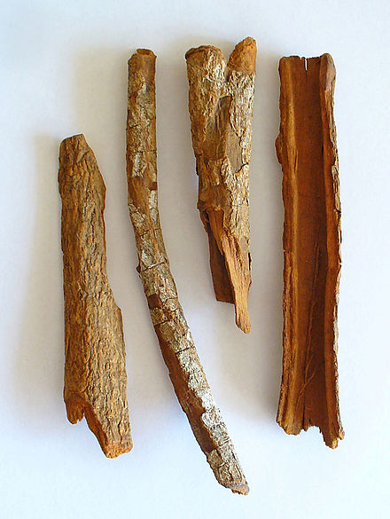 Kulit kayu pihon kina, digunakan sebagai obat malaria (wikipedia)