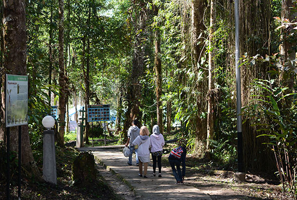Pengunjung tiba dan hanya berjarak 100 meter dari jalan utama menuju lokasi Telaga Tambing. Kawasan ini terletak di Desa Sedoa, Kec. Lore Utara, Kabupaten Poso, Sulawesi Tengah, Indonesia. (bmzIMAGES/Basri MarzukI)