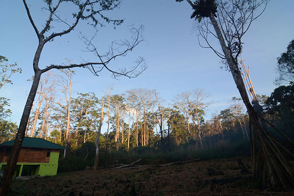 Rumah penelitian bagi tamu asing yang silih berganti datang di kawasan ini. (Foto: bmzIMAGES/Basri Marzuki)