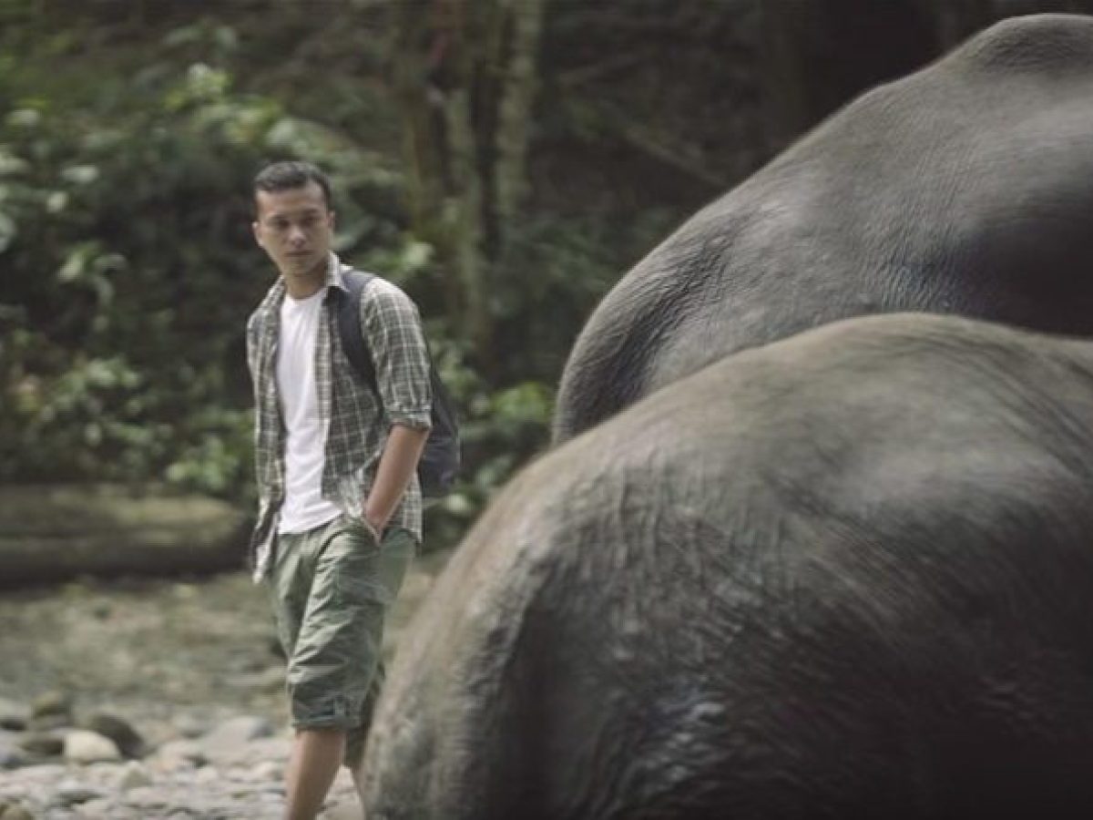 5 Artis Indonesia yang Peduli Lingkungan Lewat Gerakan - Nicholas Saputra