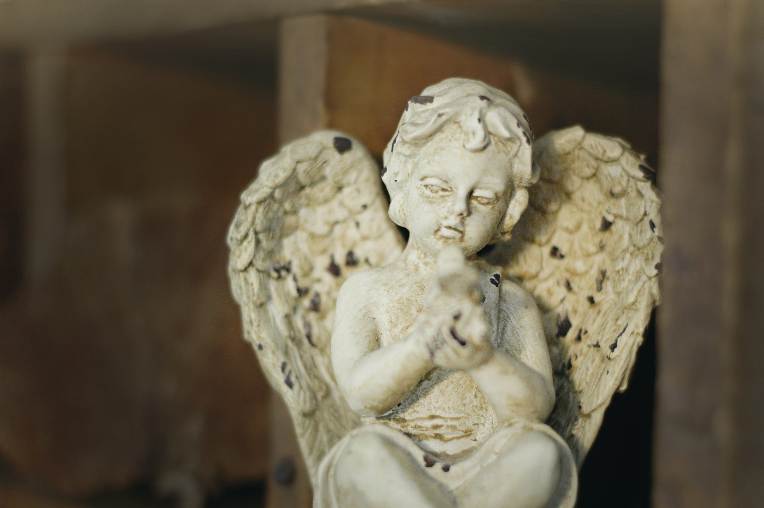 Angel Investor Angel Investor