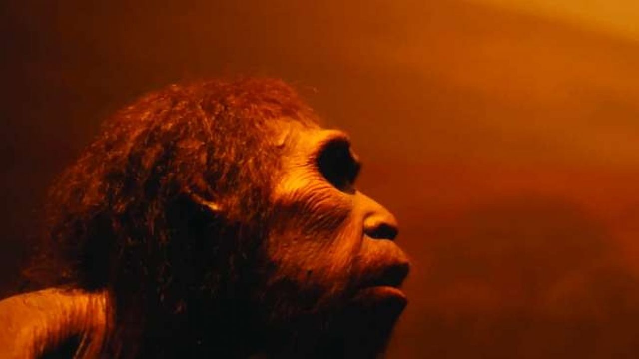 Manusia Purba di Mata Menge
