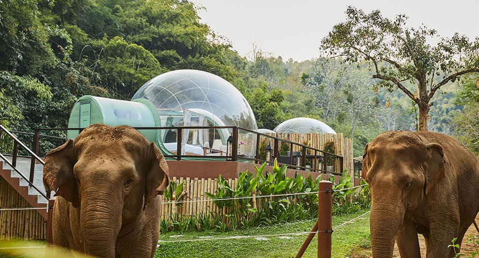 Anantara Golden Triangle - Jungle Bubble, Chiang Mai | Anantara.com