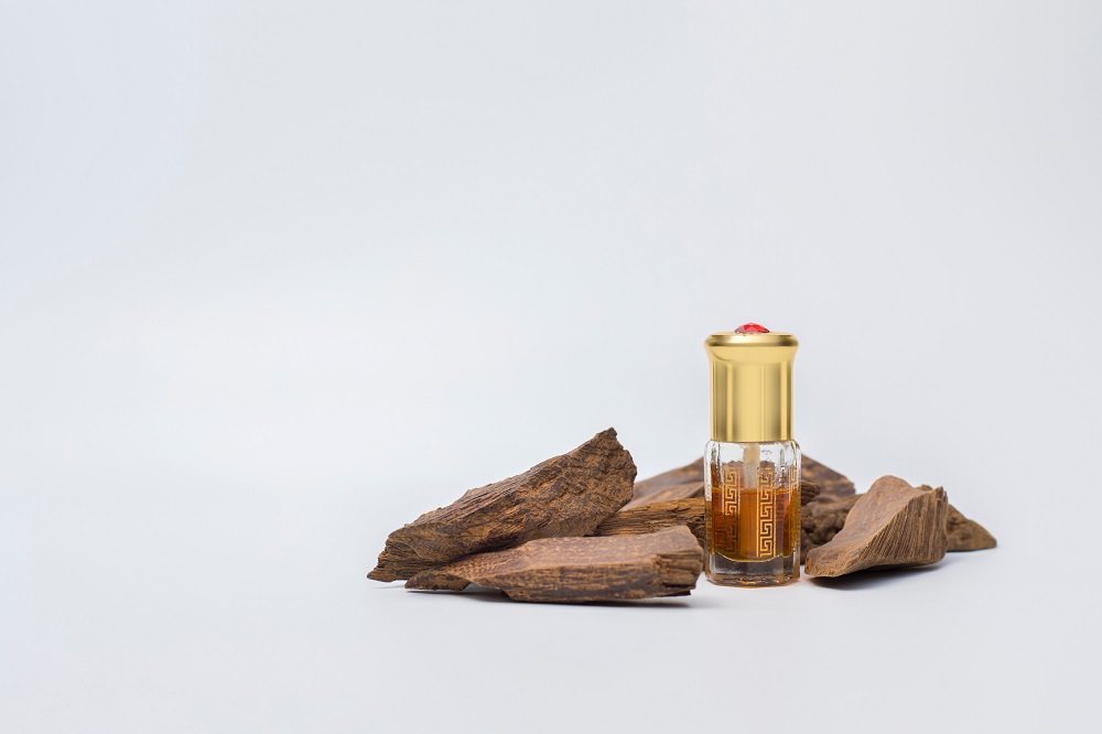 Kayu Gaharu atau Agarwood