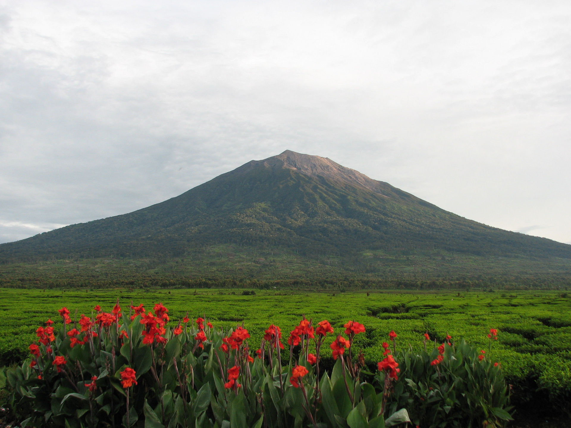 Gunung Kerinci | By Uprising - Own work, CC BY-SA 3.0, https://commons.wikimedia.org/w/index.php?curid=26995055