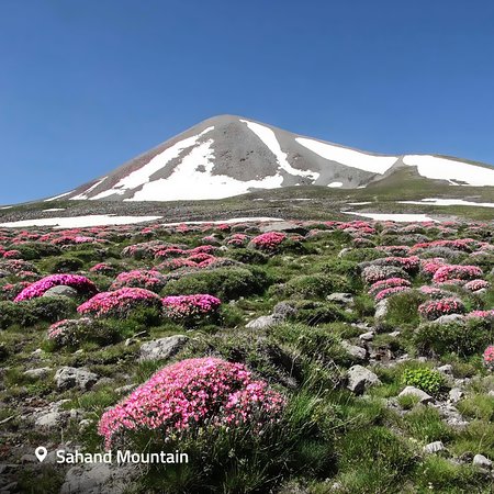 Gunung Sahand | Tripadvisor.com