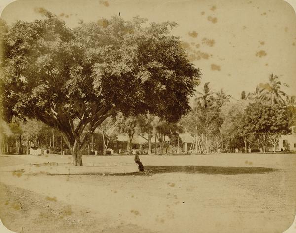 Alun-alun Blitar tempo dulu.