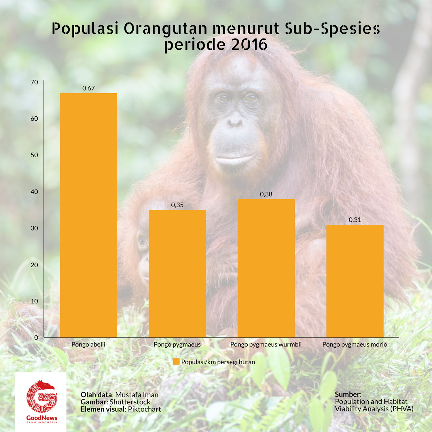 populasi orangutan menurut sub-spesies 2016