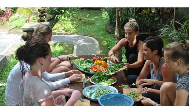 Involvement Volunteers IVI