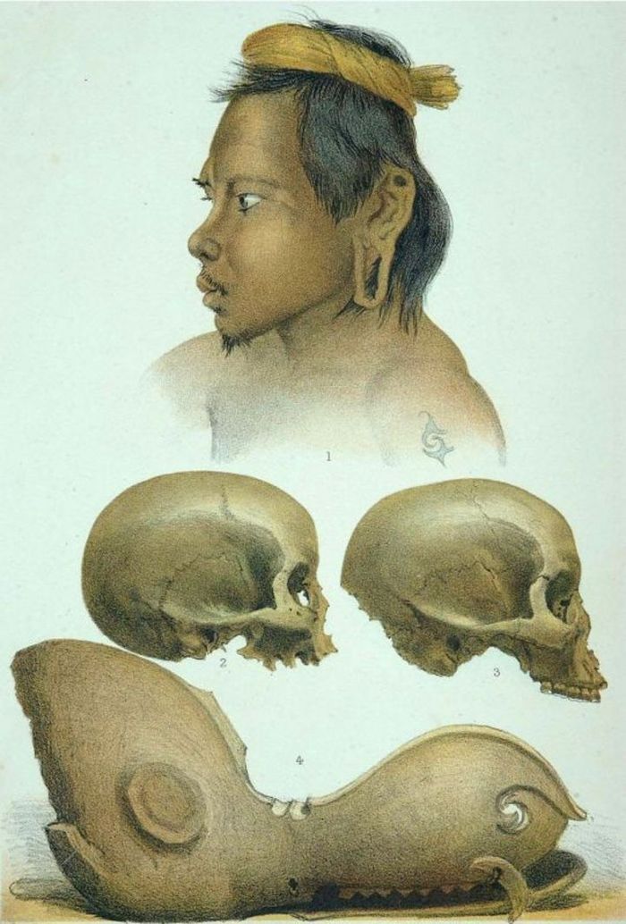 suku di pedalaman borneo