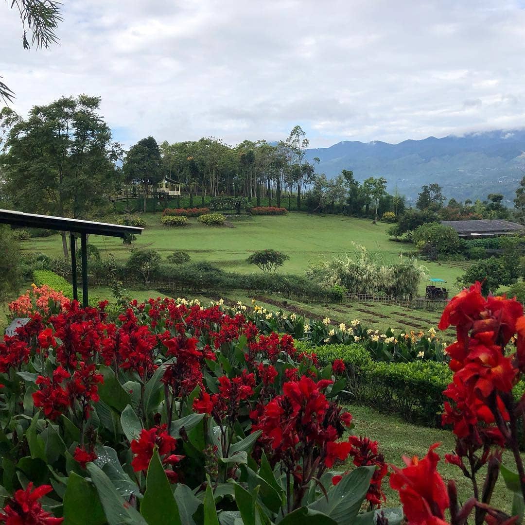 Kebun bunga Situhapa