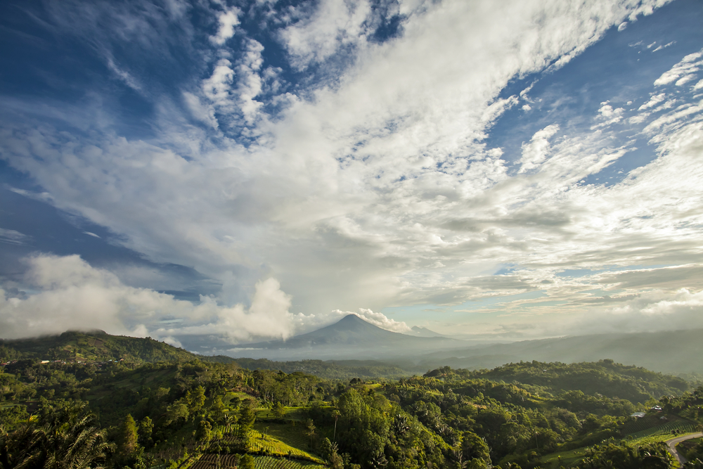 Hutan Sulawesi