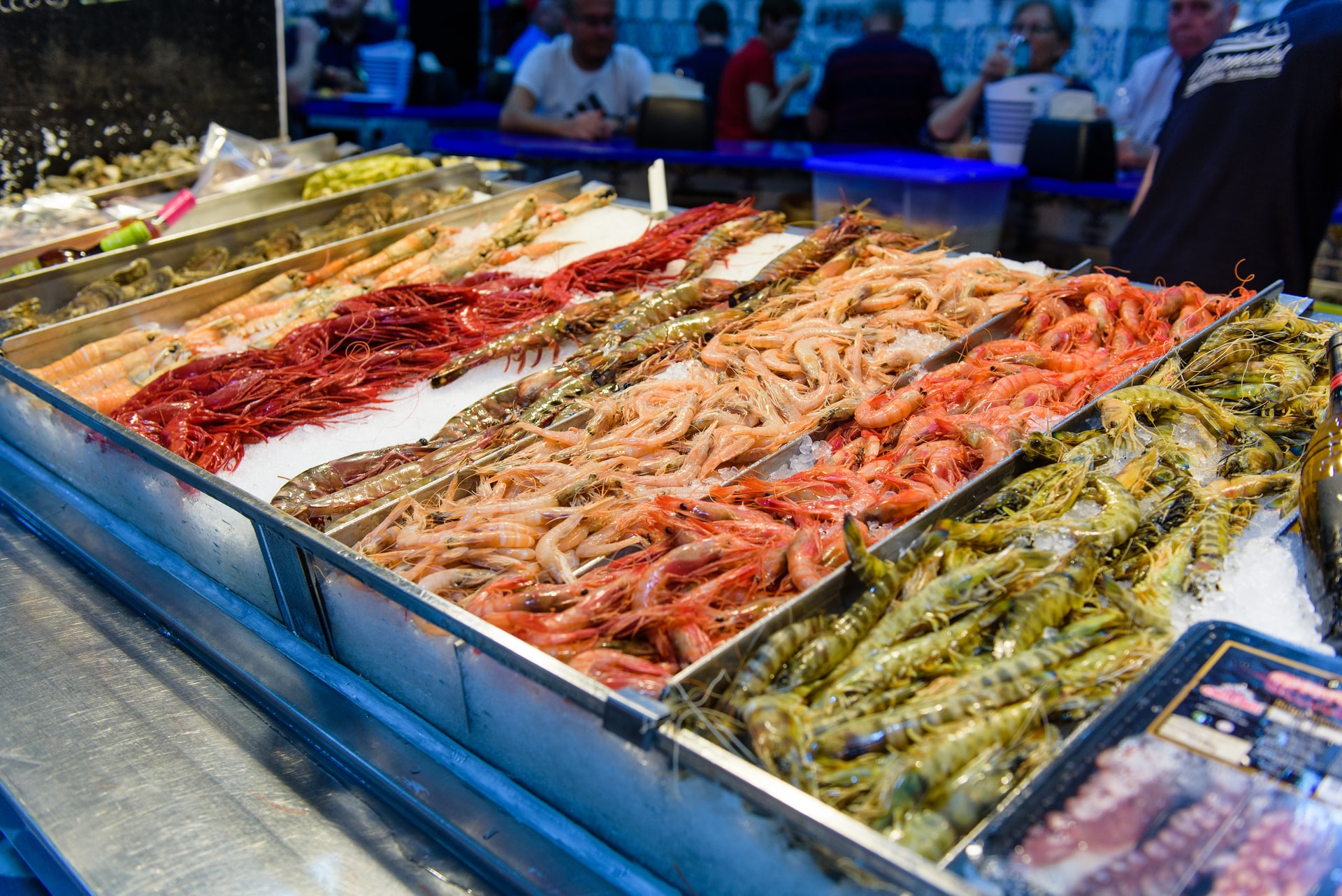 Permintaan ekspor seafood meningkat © Michal Mrozek/Unsplash
