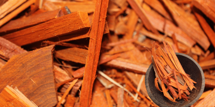 Kayu secang yang berwarna kemerahan © sumbersehat.com