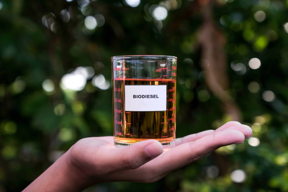 Biodiesel © Shutterstock