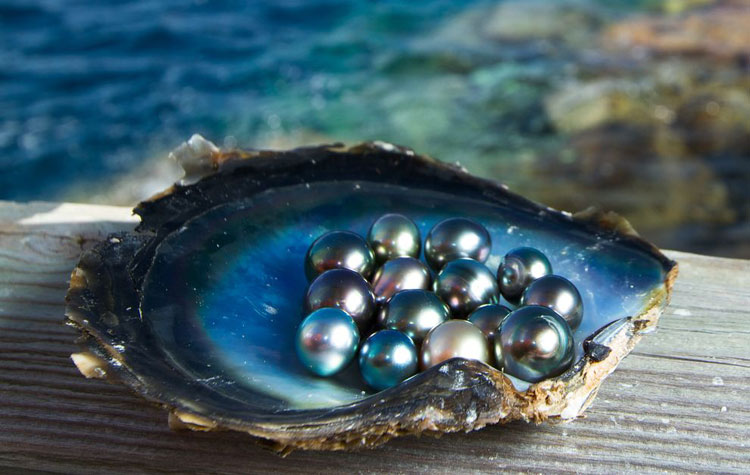 Mutiara Lombok
