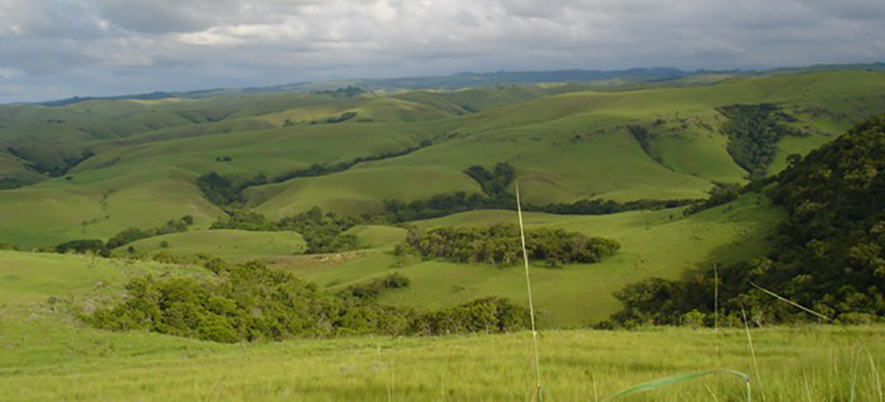 Sabana Tanah Daru
