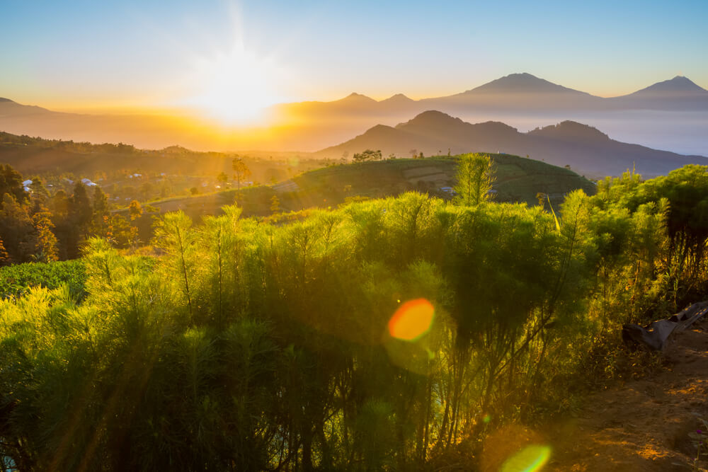 Merbabu Cagar Biosfer UNESCO