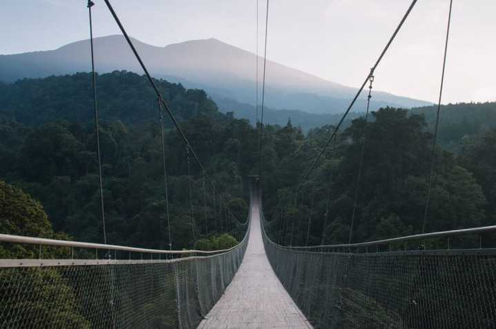 Potret jembatan gantung situ gunung © Situ Gunung Suspension Bridge