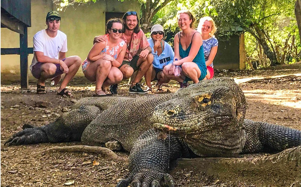 Pulau komodo