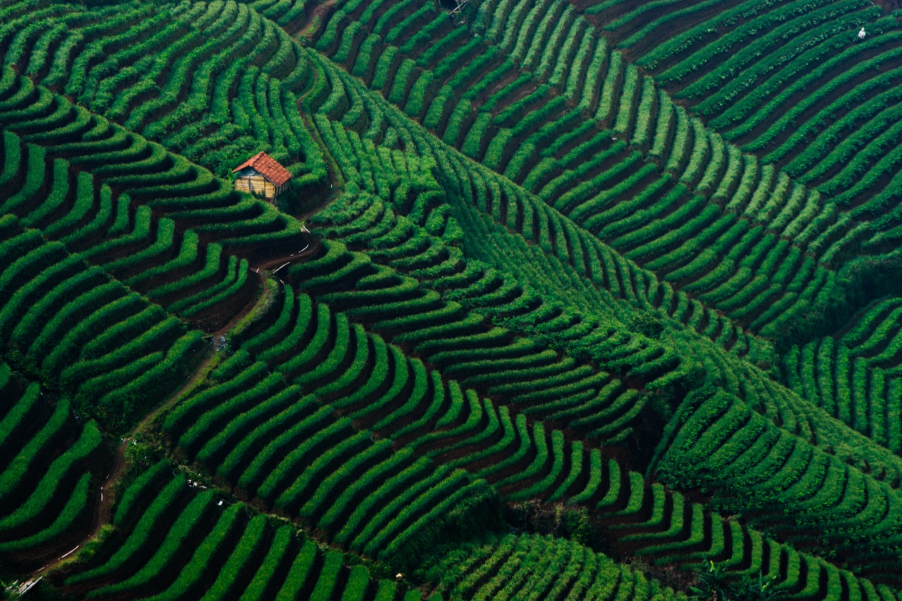 Terasering Panyaweuyan Majalengka
