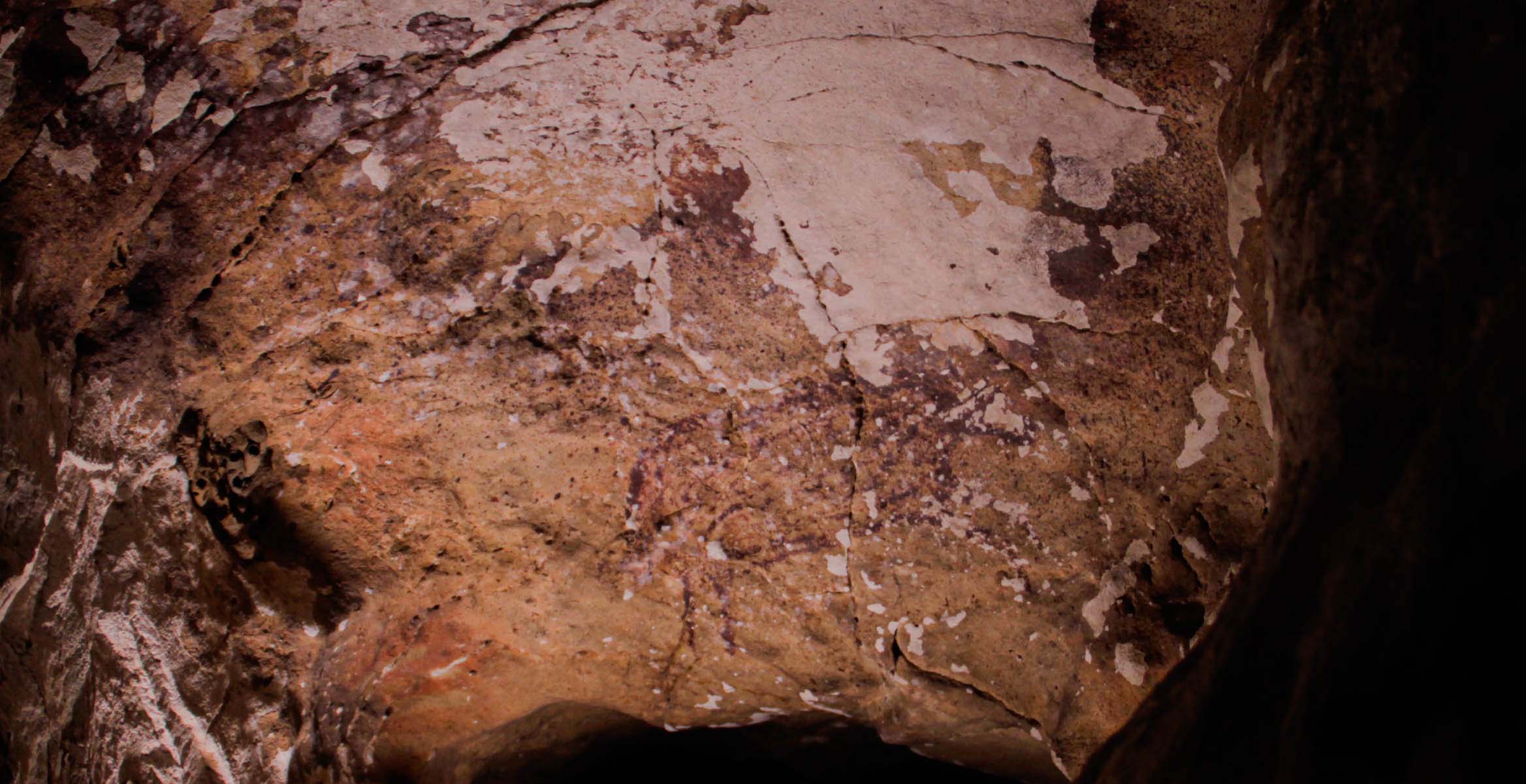 Lukisan figur babirusa di Leang Pettae, Maros. Foto: Eko Rusdianto 