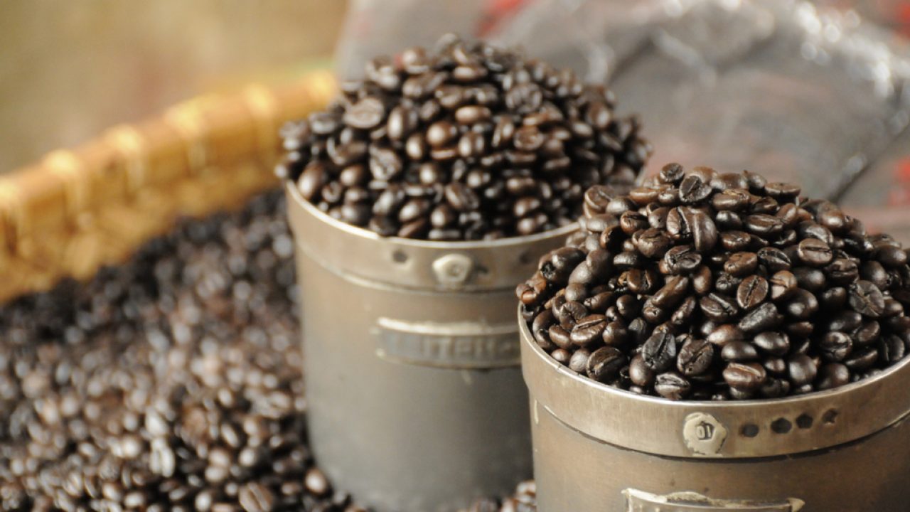 Kopi Toraja
