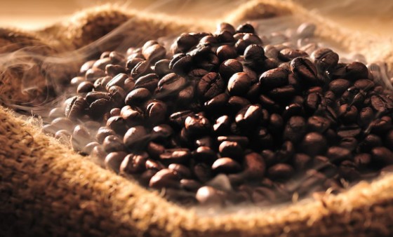 Kopi Gayo