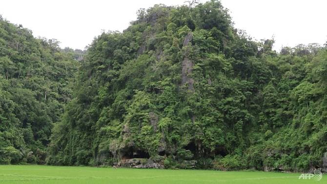 Gua purga di sulawesi