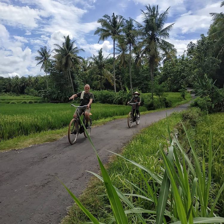 Foto: Instagram @towilfiets