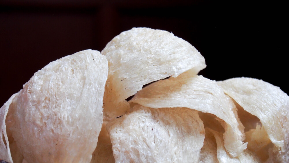 Sarang Burung Walet Indonesia