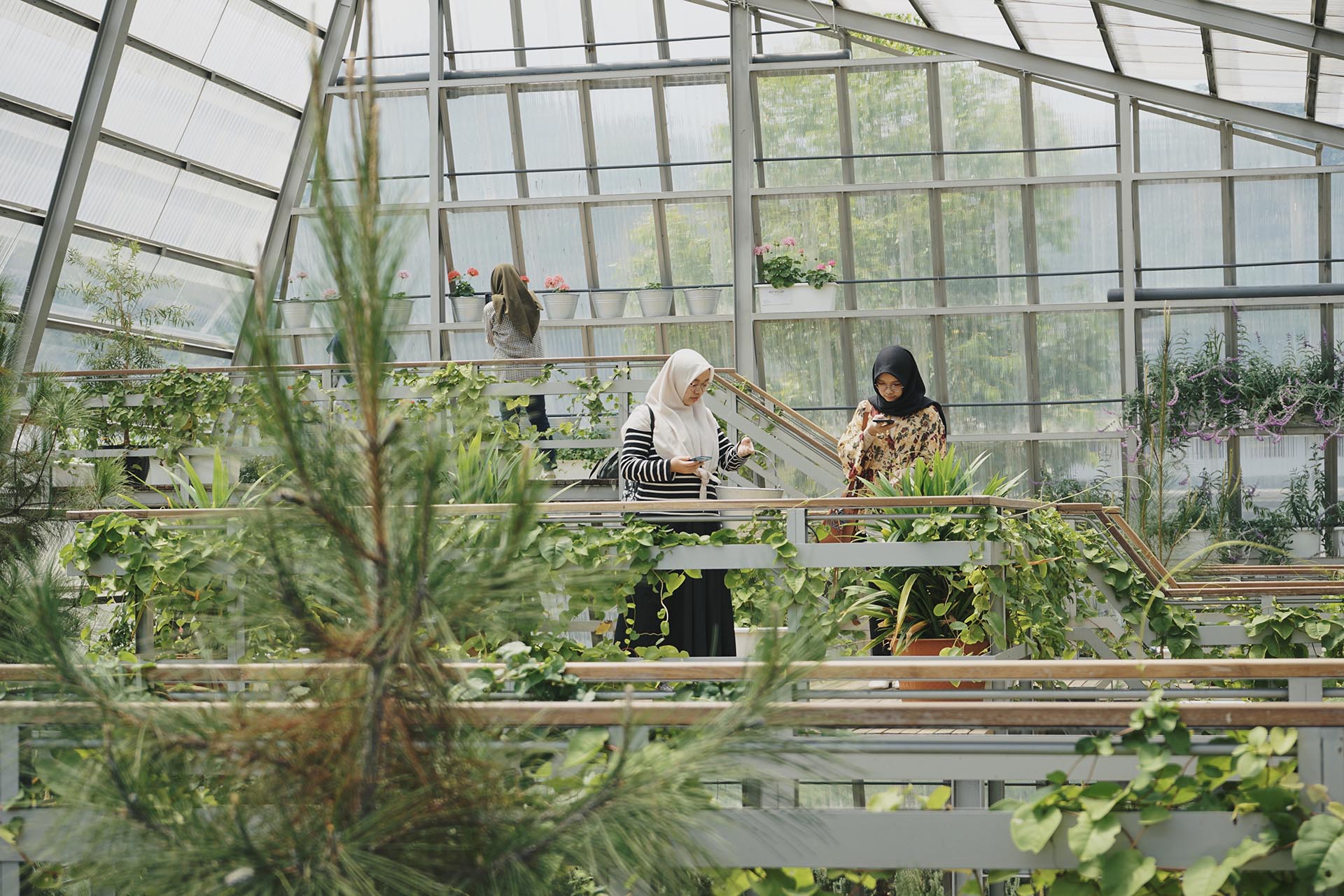 Rumah kaca nursery © Rumahatsiri.com