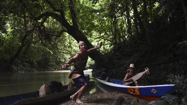 https://www.cnnindonesia.com/hiburan/20170711211806-243-227203/foto-perburuan-warga-dayak-berpayung-hutan-adat