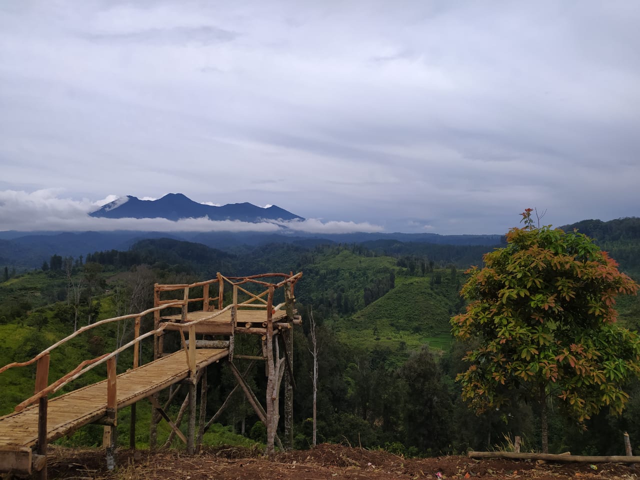 Bukit Aurora © Ksdae.menlhk.go.id