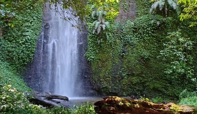 Curug Andamas © Gedepangrango.org