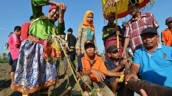 Tradisi Mappailli | Foto: Tribun Manado